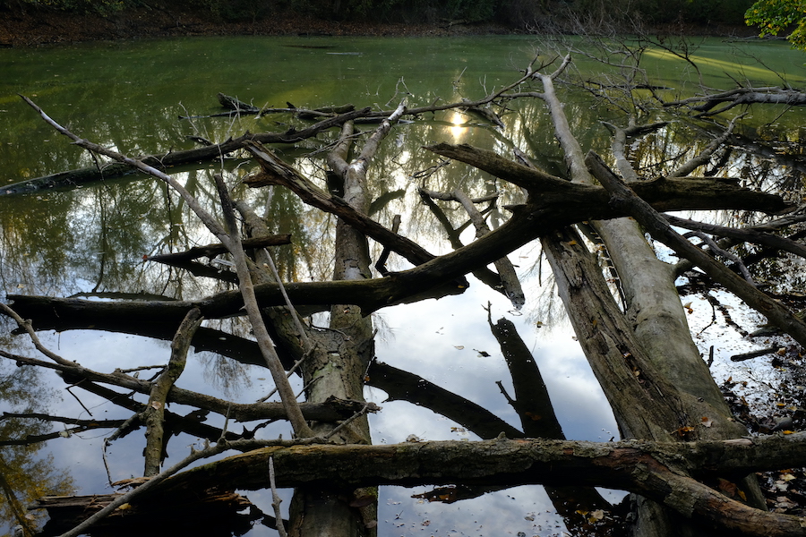 dscf0423