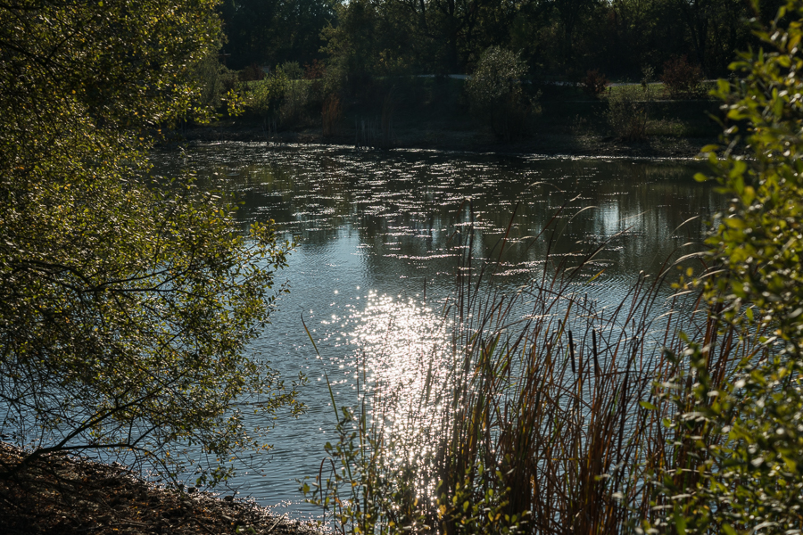 herbes_folles-1