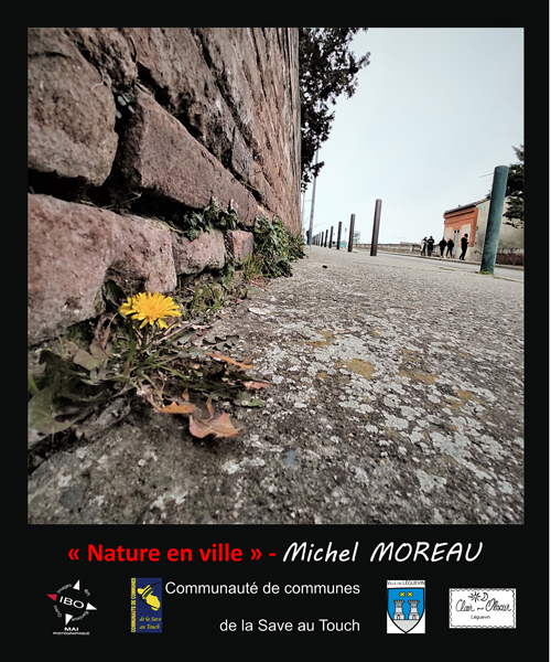 moreau
