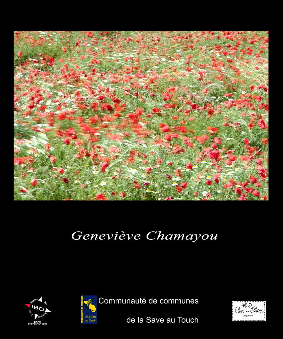 g_chamayou